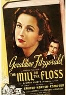 The Mill on the Floss poster image
