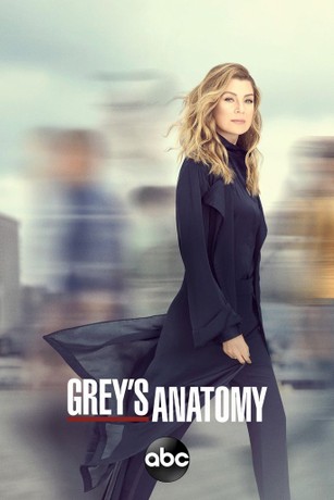 Watch greys anatomy season sale 17 episode 1 online