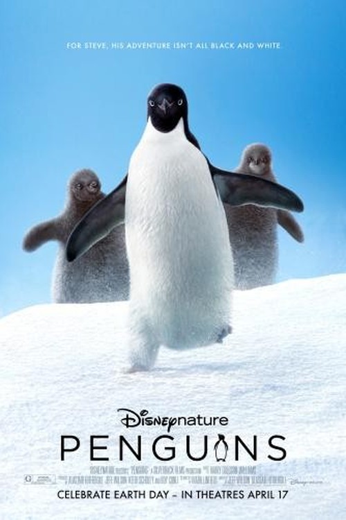 Penguins poster