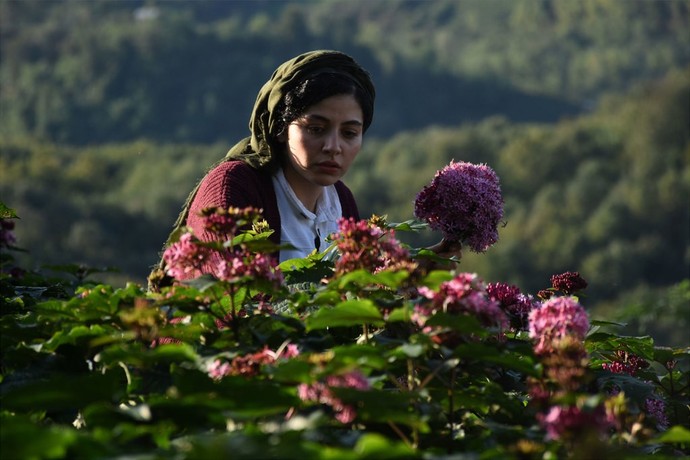 ems.cHJkLWVtcy1hc3NldHMvbW92aWVzLzE3M2I2