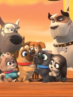 Puppy Dog Pals Season 4 Episode 12 Rotten Tomatoes