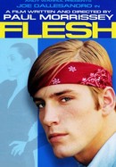 Flesh poster image