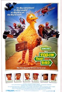 Sesame Street Presents: Follow That Bird poster