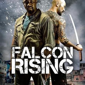 Falcon rising full 2025 movie
