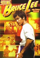 The Real Bruce Lee poster image