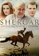 Shergar poster image