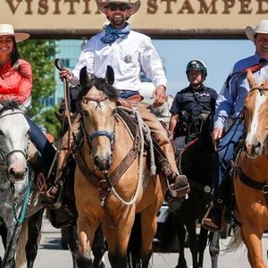 The Long Rider Rotten Tomatoes
