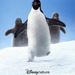 Penguins (2019) photo 4