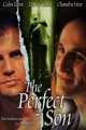 The Perfect Son