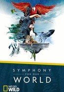 Symphony for Our World poster image