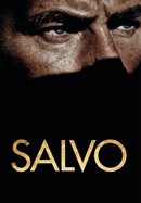 Salvo poster image