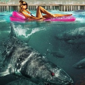"Jersey Shore Shark Attack photo 1"