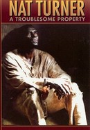 Nat Turner: A Troublesome Property poster image