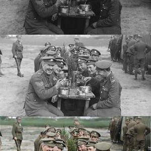 They Shall Not Grow Old - Rotten Tomatoes
