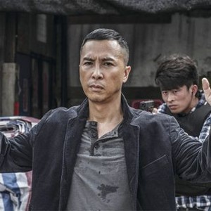 Donnie Yen - Rotten Tomatoes