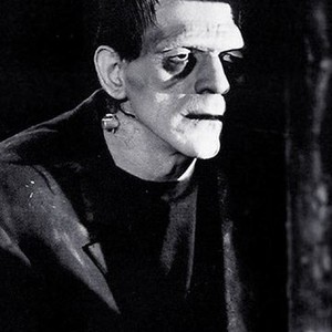 Frankenstein (1931) photo 6