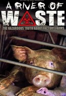 A River of Waste: The Hazardous Truth About Factory Farms poster image
