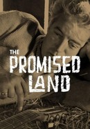 The Promised Land poster image