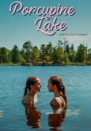 Porcupine Lake poster image