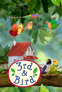 3rd & Bird: Season 1 | Rotten Tomatoes