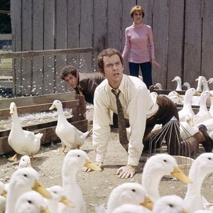 $1,000,000 Duck (1971) photo 8