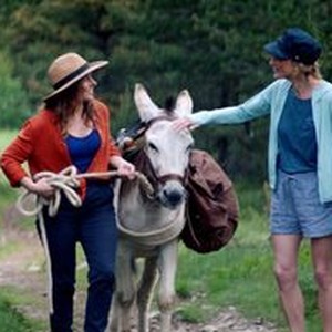 "My Donkey, My Lover &amp; I photo 16"