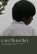 Cochochi poster image