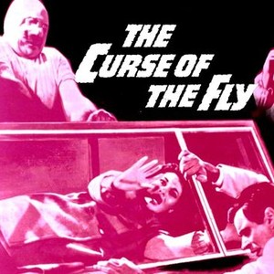 The Curse of the Fly photo 3