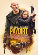 Paydirt poster image