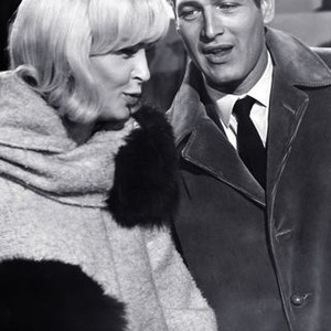 A New Kind of Love (1963) photo 6