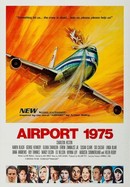Airport 1975 poster image