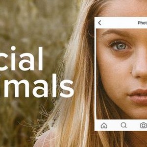 Social Animals - Rotten Tomatoes