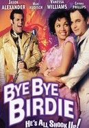 Bye Bye Birdie poster image