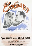 To Have and Have Not poster image