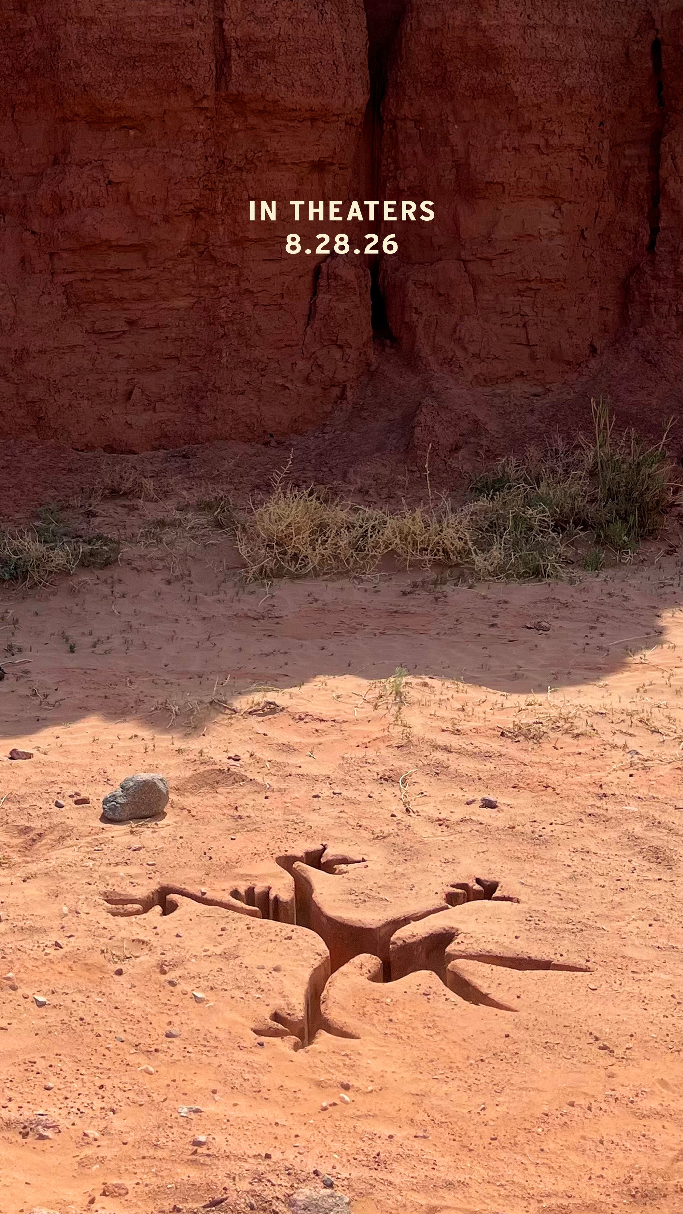 Coyote vs. Acme кадр