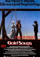 Goin' South poster image