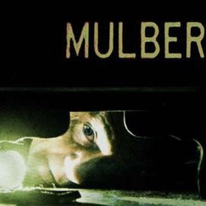 Mulberry Street photo 14