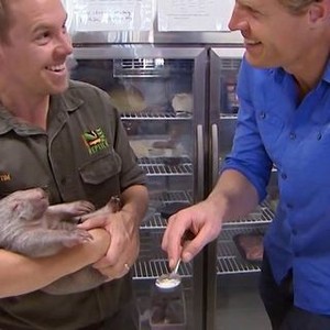 Dr. Chris: Pet Vet