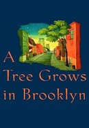 A Tree Grows in Brooklyn poster image