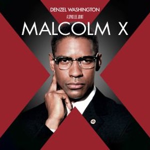 Malcolm X photo 12