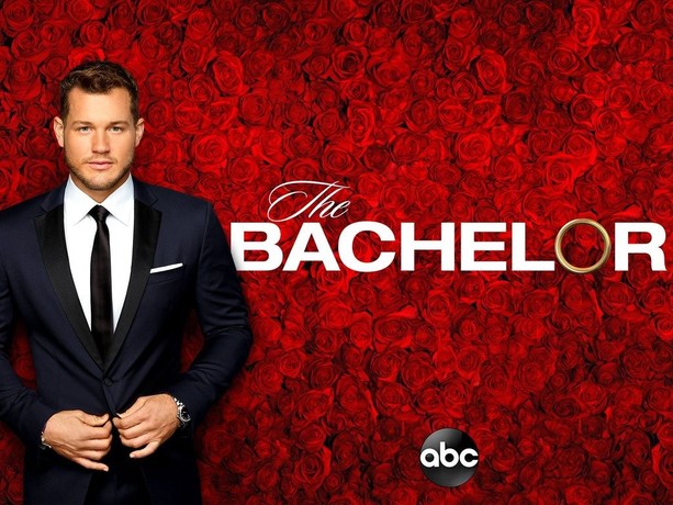 The Bachelor Season 23 Rotten Tomatoes