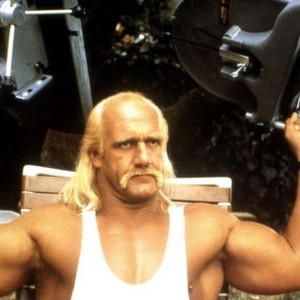 Hulk Hogan - Rotten Tomatoes