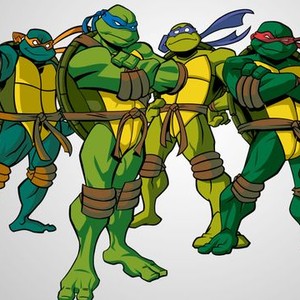 Michelangelo, Leonardo, Donatello and Raphael (from left)