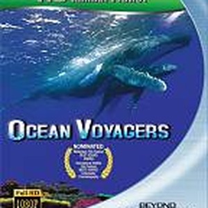 Ocean Voyagers (2007) - Rotten Tomatoes