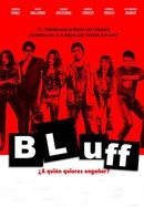 Bluff poster image