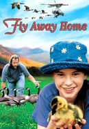 Fly Away Home poster image