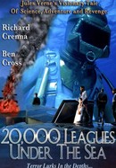20,000 Leagues Under the Sea poster image