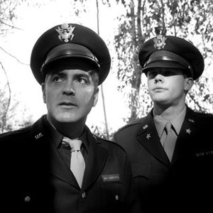 Dave Power Rotten Tomatoes