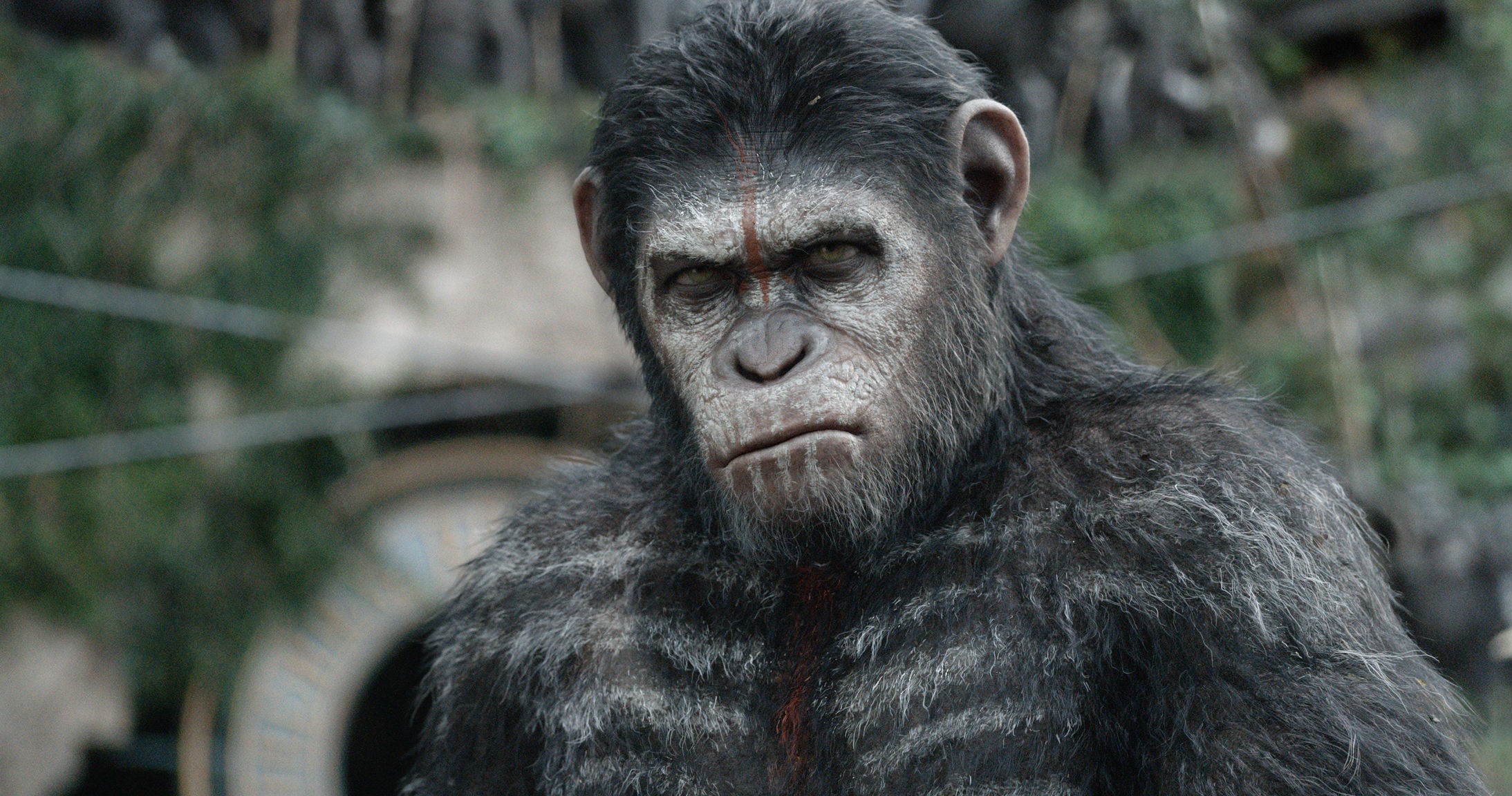 Dawn of the of the Apes Teaser Trailer 1 Trailers & Videos