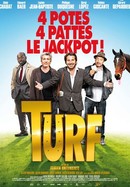 Turf poster image